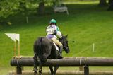 horse hitting a jump 7
